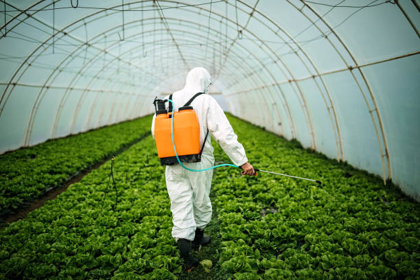 Pest Control for Restaurants in Bath, PA